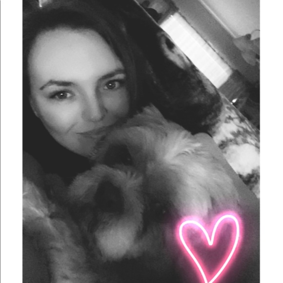 Meet your Posher, Ginger - Picture 1 of 1